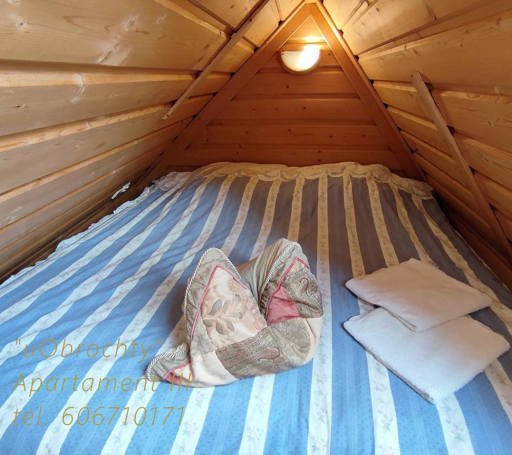 U Obrochty Apartment Zakopane Luaran gambar
